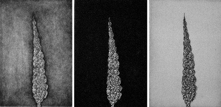 cypess 35 threeptych etching & aquatint, 2007, 10*15 cm, each one