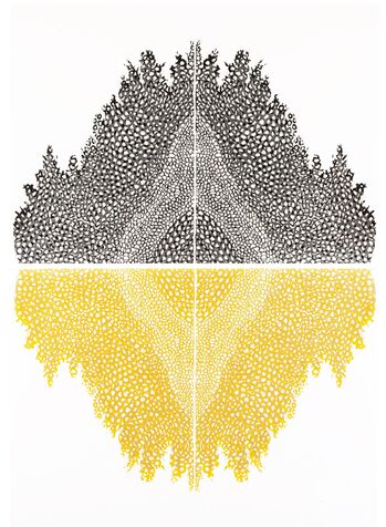 cypress 14 ���������, ���� ���, 2018, 70*100 �"� �� �����