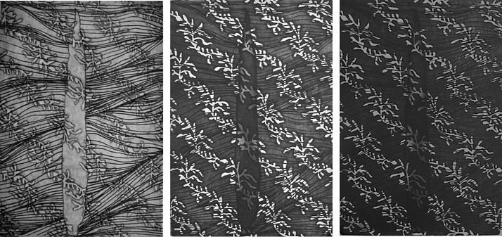 cypess 25 threeptych, photo-etching & aquatint, 2007, 25*35 cm each one