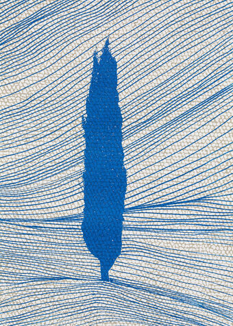 cypress 40  screen print on paper , 2020, 50*70 cm