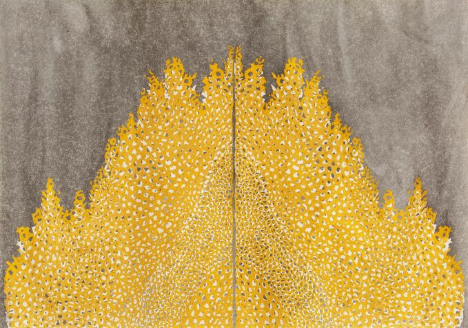 cypress10 ���� ��� �� ����, 2018, 70*100 �"�
