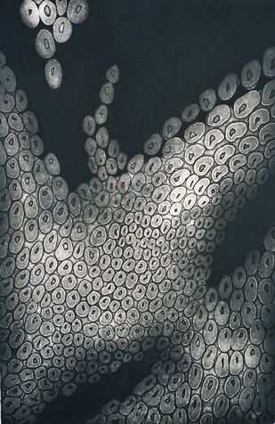 embedded 13 etching & aquatint, 1997, 40*60 cm
