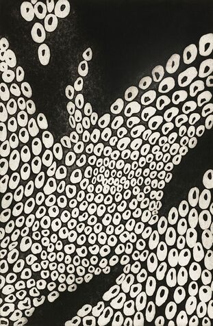 embedded 14 etching & aquatint, 1997, 40*60 cm