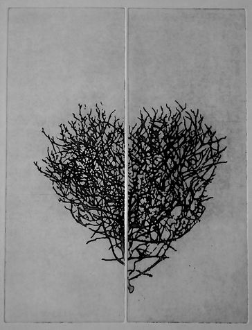 heart 12 photo etching, 2014, 30*40 cm